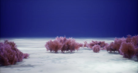 Colorful coral clusters thrive on the ocean floor, surrounded by clear blue water. Sunlight filters through the surface, casting a serene glow on the marine life.の写真素材