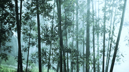 Morning light streams through a lush bamboo forest, casting soft shadows on the ground. Mist dances among the tall stalks, enhancing the tranquil beauty of nature.の写真素材