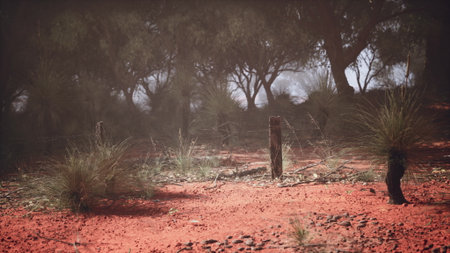 A remote stretch of red earth showcases hardy grasses and sparse trees. The soft light creates a serene atmosphere in this quiet Australian setting, inviting reflection and exploration.の写真素材