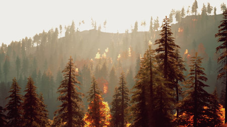 In a tranquil forest during autumn, golden sunlight illuminates tall trees, creating a magical atmosphere. Vibrant leaves and gentle shadows add beauty to this peaceful nature landscape.の写真素材