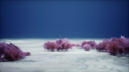 Beneath the calm ocean surface, coral formations sway gently with the current, creating a tranquil...
