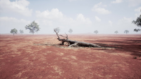 A serene view of a wide dry landscape features a fallen tree resting on cracked earth. Sparse trees...