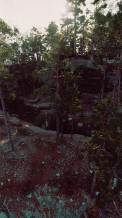 Tall trees surround a peaceful river winding through a tranquil forest. Soft light filters through...