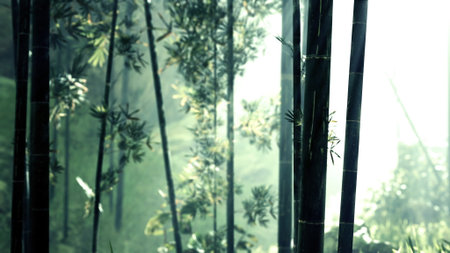 Tall bamboo stalks rise majestically in a serene forest as gentle rays of sunlight filter through the leaves. The atmosphere evokes peace, encouraging quiet contemplation amidst natures beauty.の写真素材