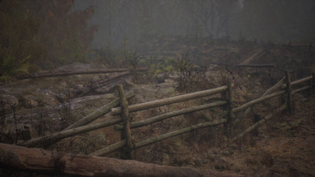 A tranquil forest embraces the morning fog, with a rustic wooden fence guiding the viewer through a muted landscape. Nature rests quietly under a soft gray sky, inviting exploration.の写真素材