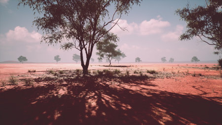 A serene scene unfolds in a wide red landscape, where the sun casts playful shadows of trees onto the ground. The bright sky adds warmth to this tranquil environment, inviting exploration.の写真素材