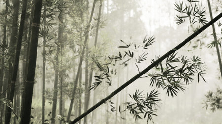 A serene bamboo forest fills the scene with tall, slender stalks reaching toward the sky. Soft light filters through the canopy, creating a peaceful and mystical atmosphere.の写真素材