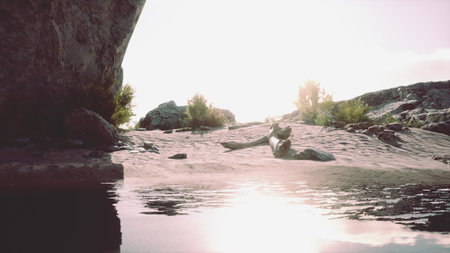 Soft sunlight filters over a quiet area, where gentle waves kiss the sandy bank. Nearby rocks and greenery enhance the peaceful scene, creating a perfect retreat.の写真素材