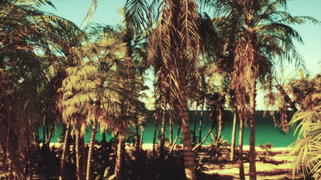 Palm trees tower over a beautiful sandy beach, swaying gently in the warm breeze. The turquoise ocean glimmers under the bright sun, creating a tranquil and inviting scene.の写真素材