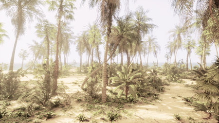 In a serene tropical landscape, palm trees tower over sandy trails leading to the distant ocean. Sunlight filters through the foliage, creating a tranquil atmosphere.の写真素材