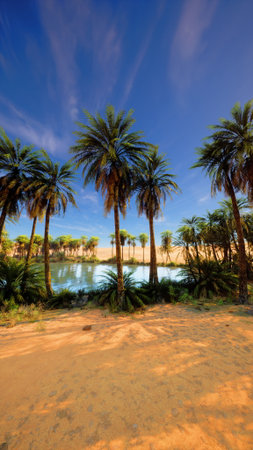 Lush palm trees stand tall near a calm oasis, reflecting the vibrant blue sky. The golden sands of the desert enhance this serene and peaceful landscape, inviting exploration.の写真素材