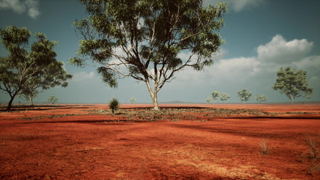 Stunning red earth stretches across the horizon, dotted with diverse trees under a bright blue sky. The scene evokes tranquility and the beauty of natures simplicity in a remote location.の写真素材