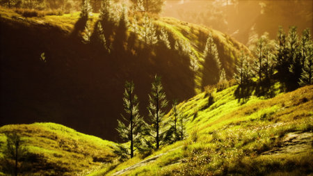 Lush green hills bask in the warm glow of the setting sun, casting long shadows. Trees dot the hillside, creating a peaceful and tranquil atmosphere perfect for unwinding in nature.の写真素材