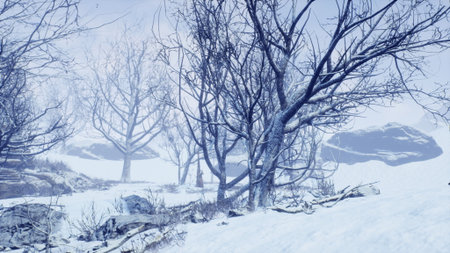 A tranquil winter atmosphere envelops a snowy landscape, where leafless trees stand majestically against a backdrop of soft clouds. The peaceful scenery invites quiet reflection.の写真素材