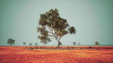 A solitary tree rises from the vast, arid desert terrain, surrounded by distant shrubbery and a clear blue sky. The vibrant orange earth contrasts beautifully with the greenery.の写真素材