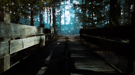 Sunlight filters through towering trees as a rustic wooden bridge beckons travelers along a serene forest trail. Mist dances amongst the foliage, creating an enchanting atmosphere.の写真素材