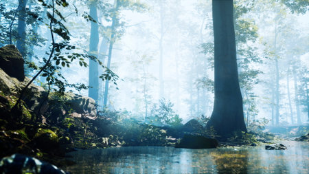 Sunlight filters through tall trees, creating a mystical atmosphere in a quiet forest. A tranquil pool reflects the lush surroundings, inviting peace and calm during early morning hours.の写真素材