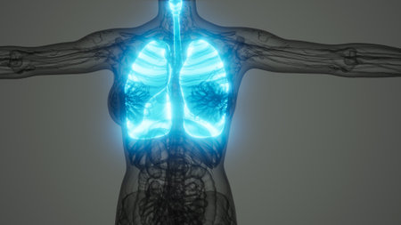 A dynamic illustration reveals the glowing anatomy of human lungs, highlighting the complex network of bronchi and alveoli against a striking backdrop.の写真素材