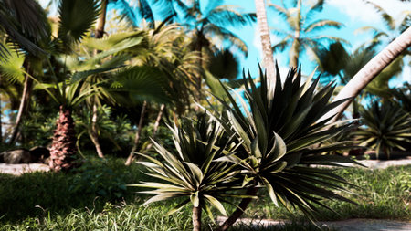 A flourishing tropical garden showcases a variety of lush green plants and palm trees swaying gently...