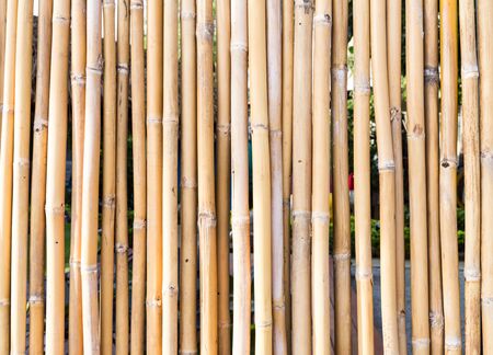 bamboo wallの写真素材