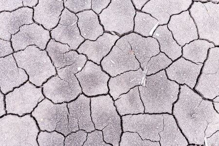 abstract background of dry soil 
