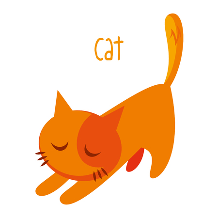 Red Cat on white background Vector illustrationのイラスト素材
