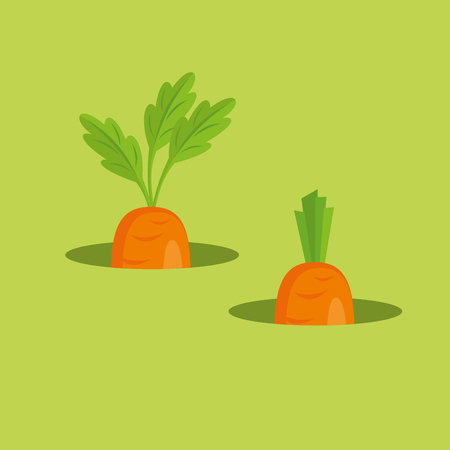 Carrot vector illustration on green backgroundのイラスト素材