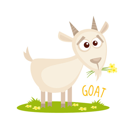 Goat Vector illustration isolated on white backgroundのイラスト素材