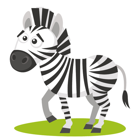 Wild animals. Zebra Wildlife Vector illustration isolated on white backgroundの写真素材
