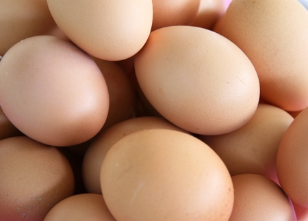 Eggs backgroundの写真素材