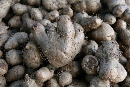 Potatoes with I love you sign