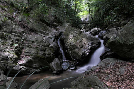 a mountain stream that flows on both sides of a large rock