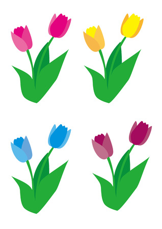 Colorful Tulipのイラスト素材
