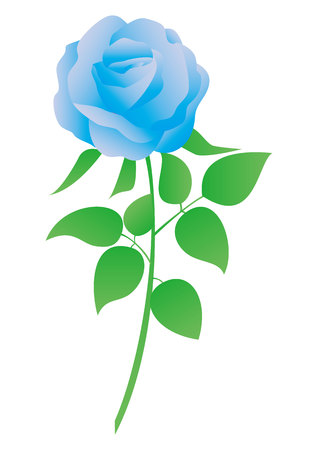 This is a vector illustration of blue rose.のイラスト素材