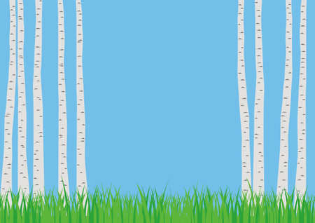 It is an illustration of a birch and a meadow.のイラスト素材