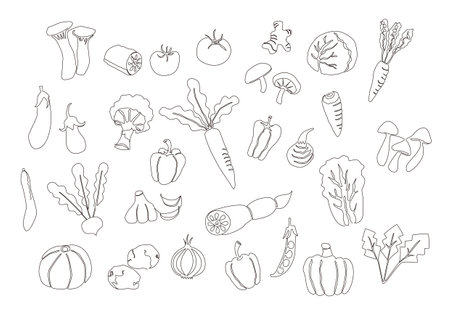 Vegetable illustration set with one strokeのイラスト素材