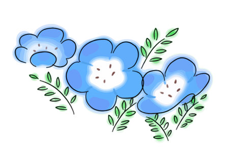 Nemophila illustrationのイラスト素材