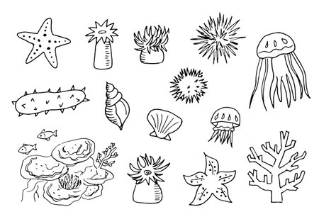 Sea creatures illustration setのイラスト素材