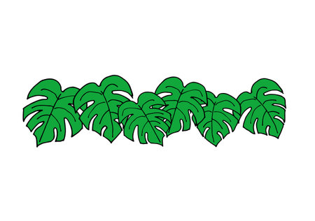 Monstera decorationsのイラスト素材