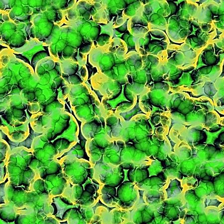 Green bacteria under microscopeの写真素材
