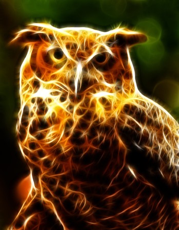 Artistic rendering of owl glowing on dark backgroundの写真素材