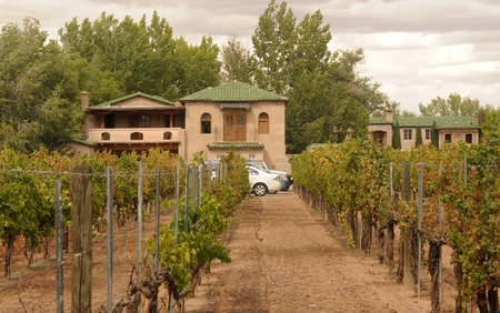 Country home and wine growing estateのeditorial素材