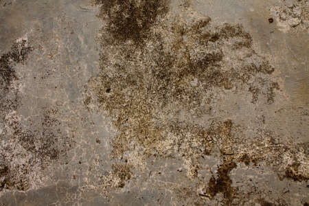 Concrete texture