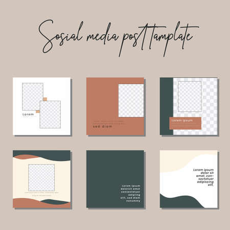 Social media post templates to beautify your posts on social mediaのイラスト素材