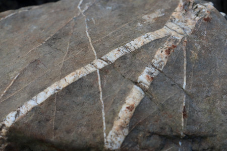Inner layer texture of sedimentary rock. Stone background.