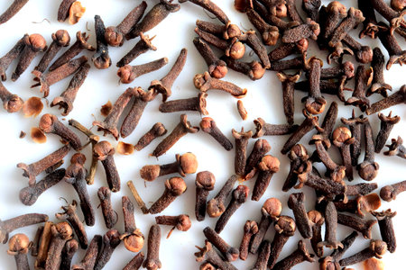 Spice cloves on white backgroundの写真素材