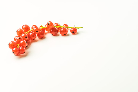 Red currants on a white backgroundの写真素材
