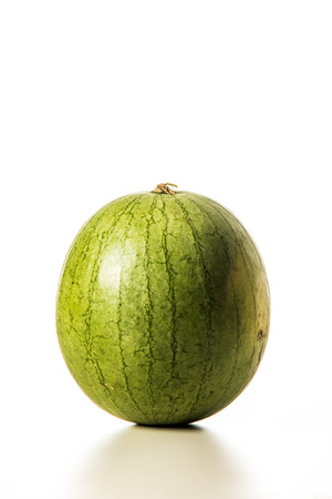 Green melon shoot on a white backgroundの写真素材