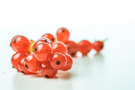 Red currants on a white backgroundの写真素材