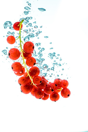 Red currants in a water on a white backgroundの写真素材